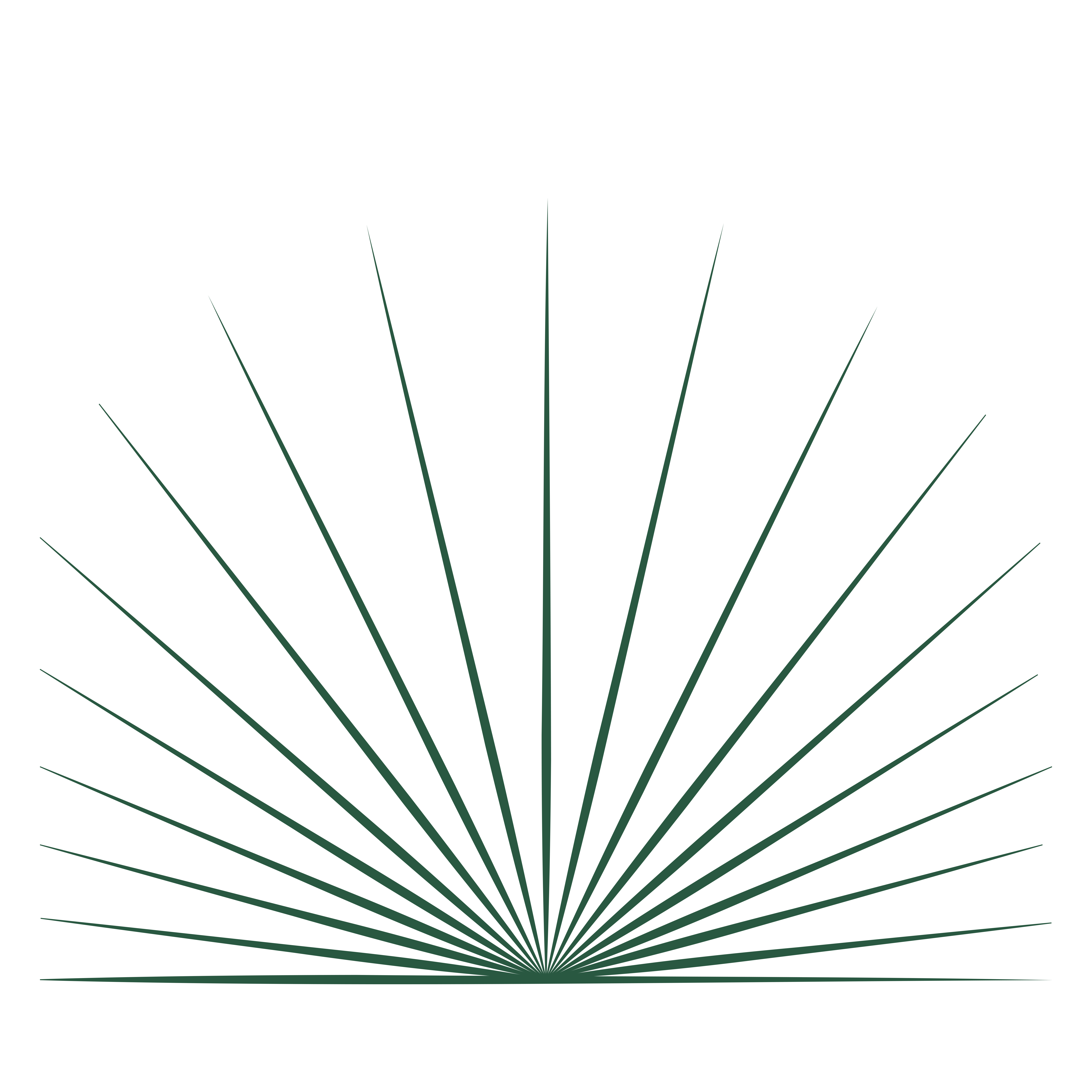 San Felicissimo Logo
