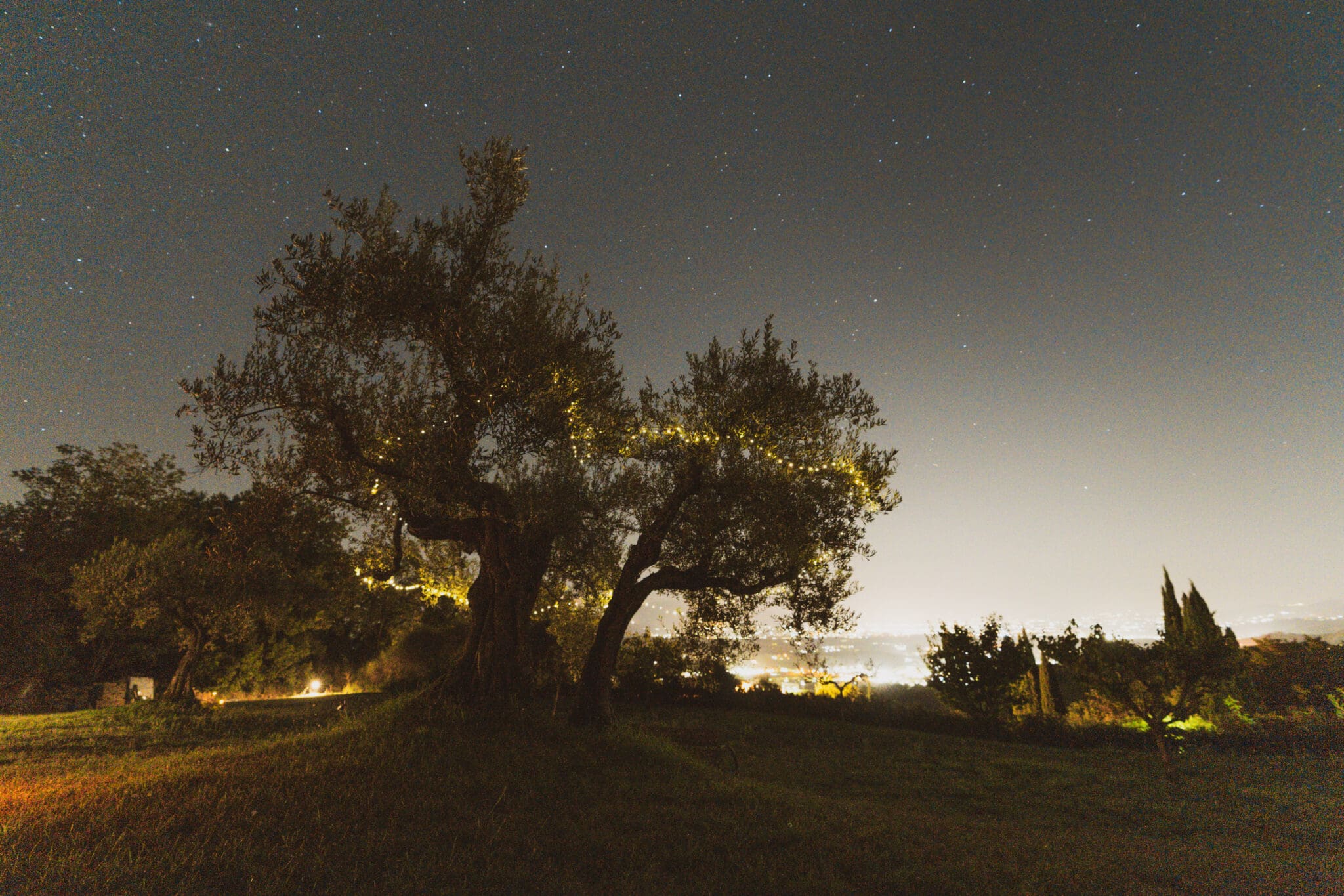 Uliveto agriturismo San Felicissimo Perugia