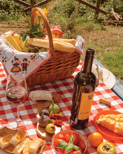 Picnic Barbecue Agriturismo San Felicissimo Perugia